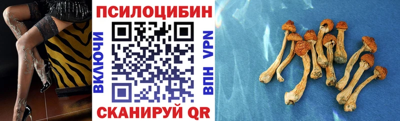 Галлюциногенные грибы Cubensis  Ялта 